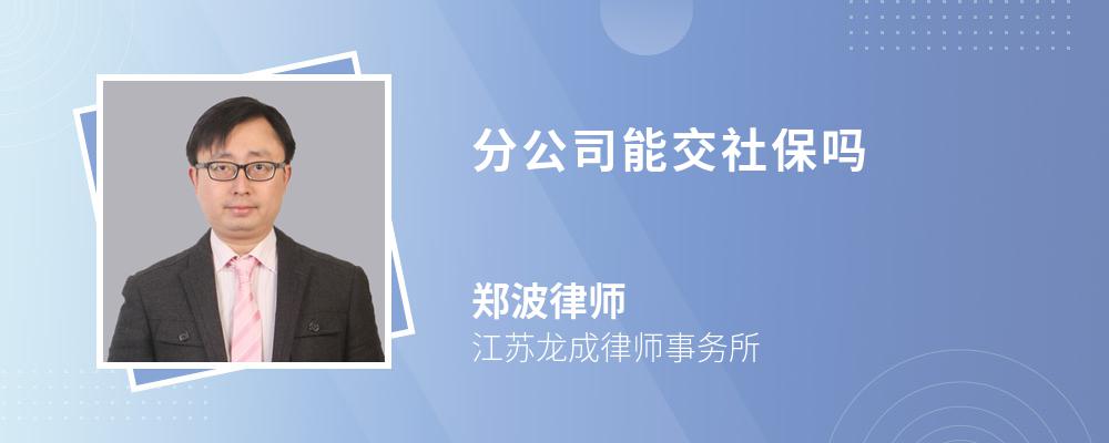 分公司能交社保吗