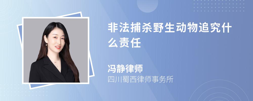 非法捕杀野生动物追究什么责任