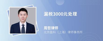 漏税3000元处理