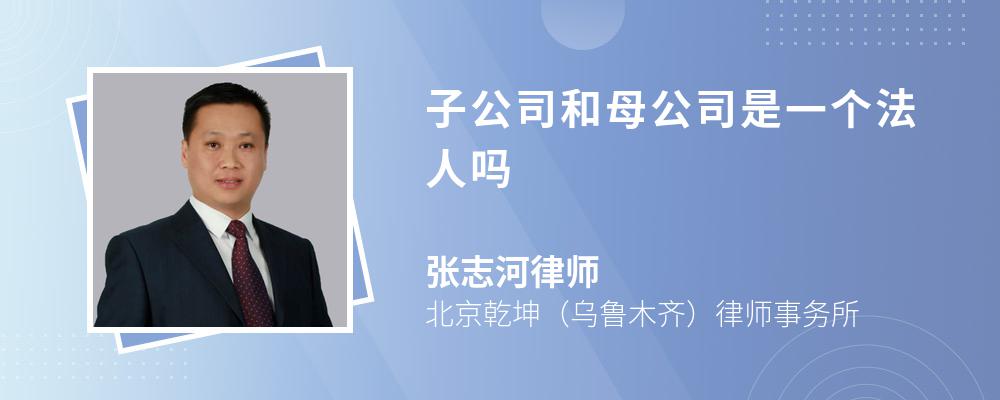 子公司和母公司是一个法人吗