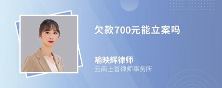 欠款700元能立案吗