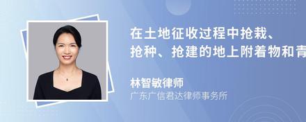 在土地征收过程中抢栽、抢种、抢建的地上附着物和青苗能否要求补偿