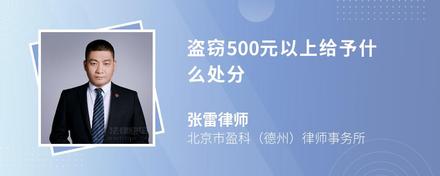 盗窃500元以上给予什么处分