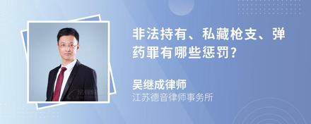 非法持有、私藏枪支、弹药罪有哪些惩罚?