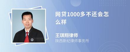 网贷1000多不还会怎么样