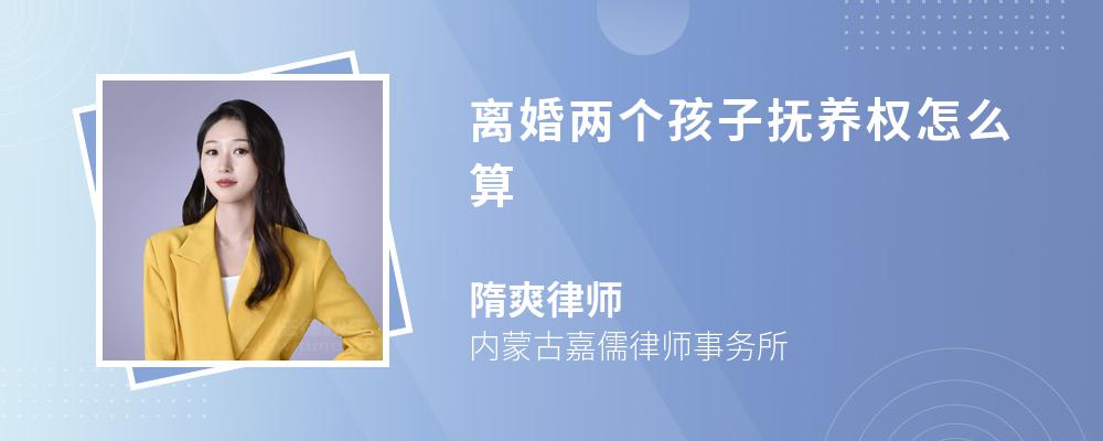 离婚两个孩子抚养权怎么算