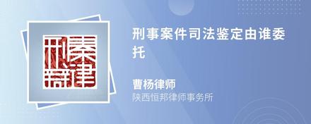 刑事案件司法鉴定由谁委托