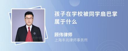 孩子在学校被同学扇巴掌属于什么