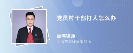 党员村干部打人怎么办