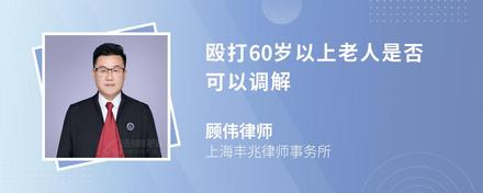 殴打60岁以上老人是否可以调解