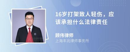 16岁打架致人轻伤，应该承担什么法律责任