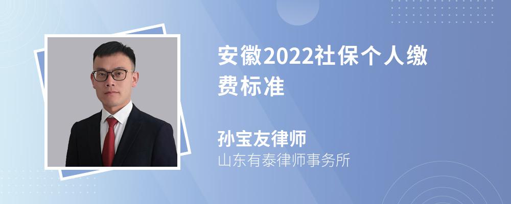 安徽2022社保个人缴费标准