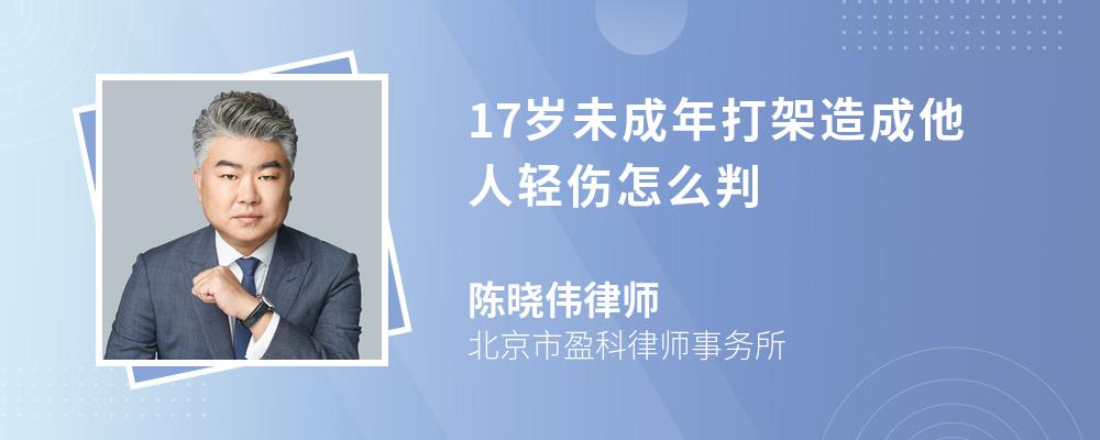 17岁未成年打架造成他人轻伤怎么判