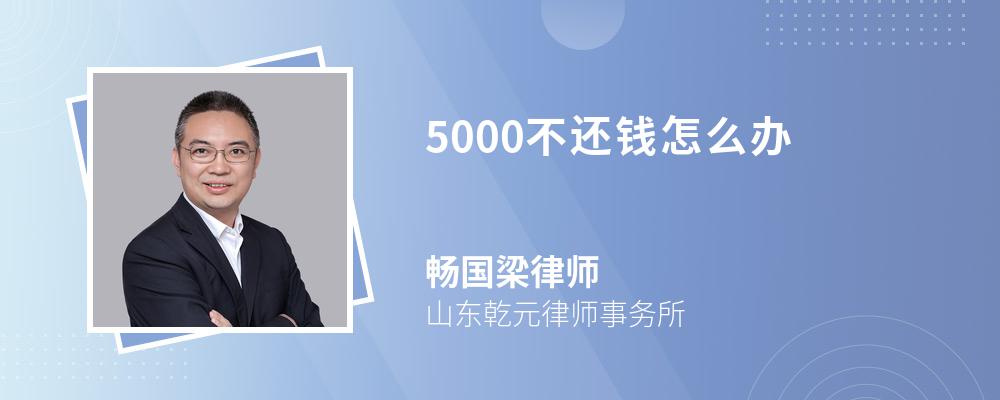 5000不还钱怎么办