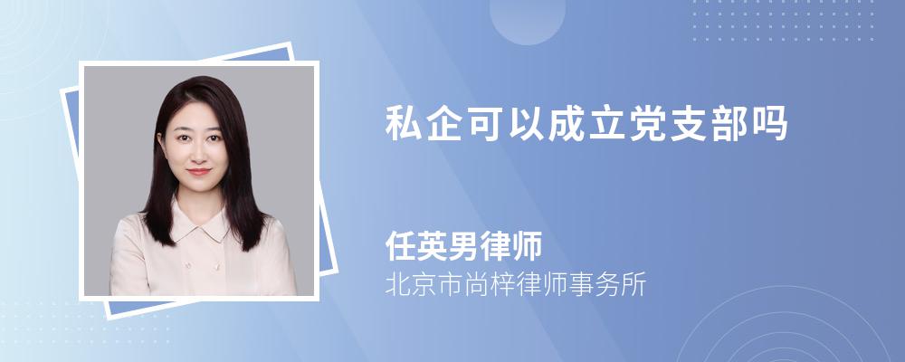 私企可以成立党支部吗