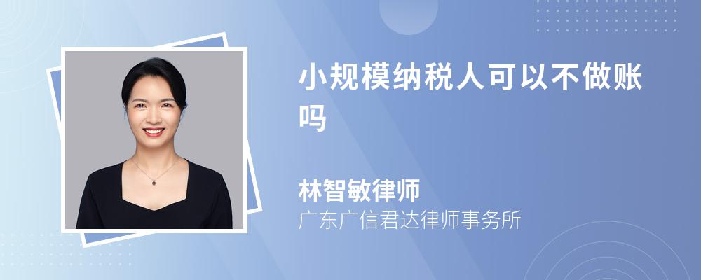 小规模纳税人可以不做账吗