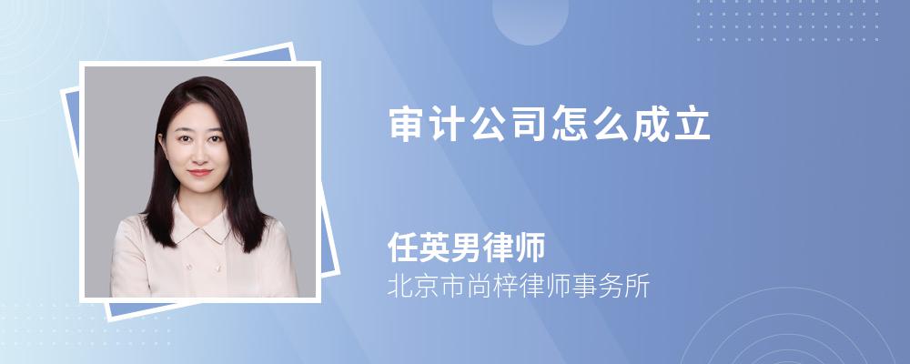 审计公司怎么成立