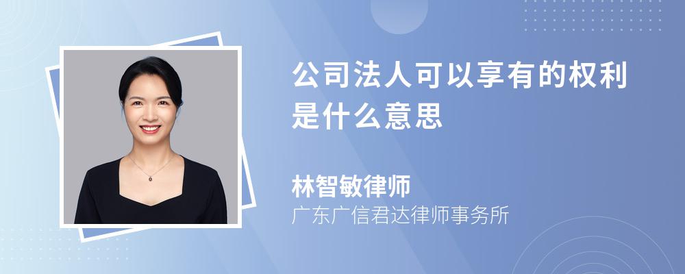 公司法人可以享有的权利是什么意思