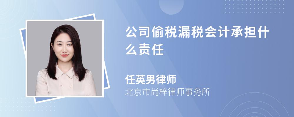 公司偷税漏税会计承担什么责任