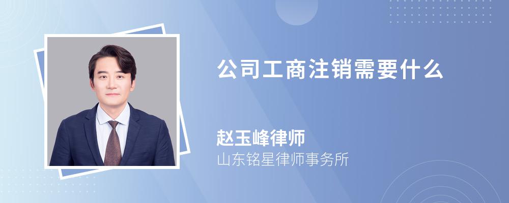 公司工商注销需要什么