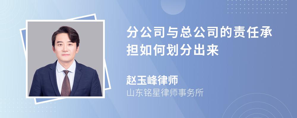 分公司与总公司的责任承担如何划分出来