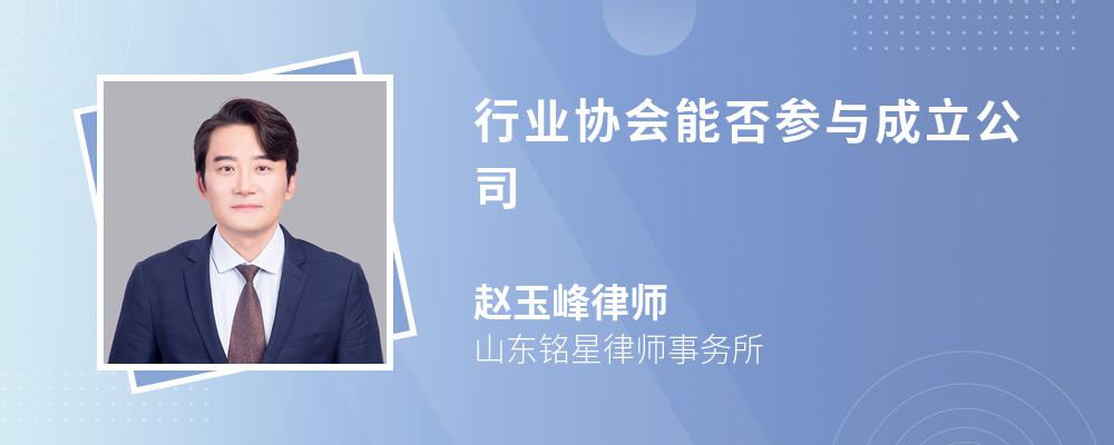 行业协会能否参与成立公司