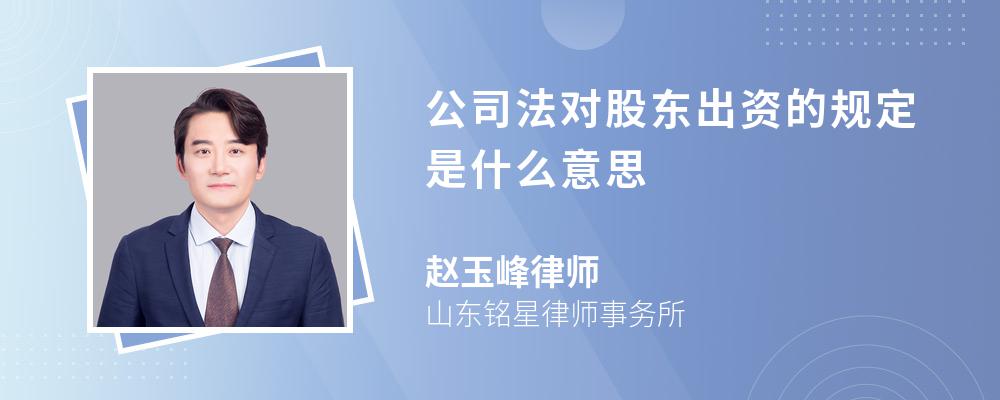 公司法对股东出资的规定是什么意思