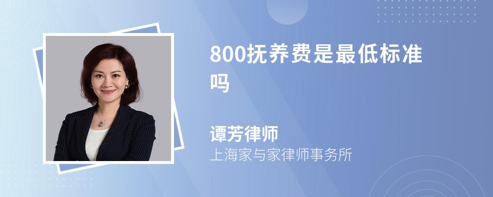 800抚养费是最低标准吗