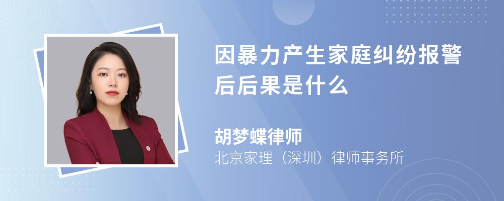 因暴力产生家庭纠纷报警后后果是什么