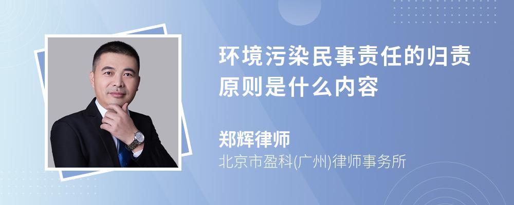 环境污染民事责任的归责原则是什么内容