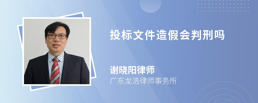 投标文件造假会判刑吗