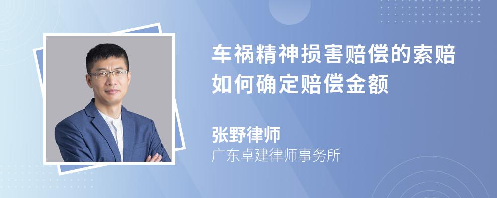 车祸精神损害赔偿的索赔如何确定赔偿金额