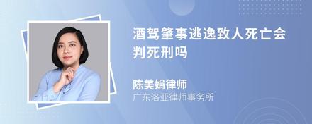 酒驾肇事逃逸致人死亡会判死刑吗