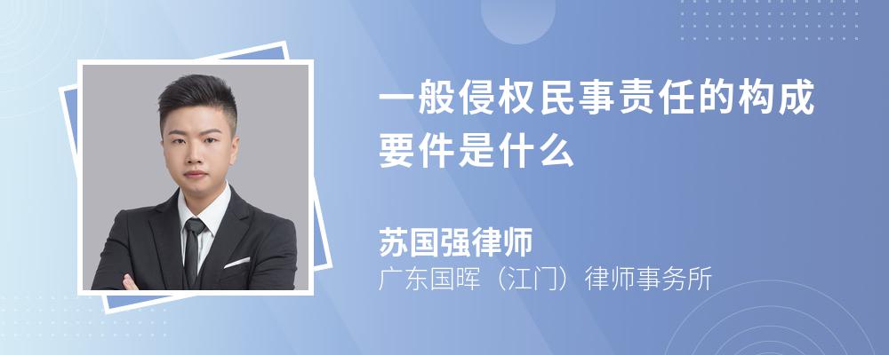 一般侵权民事责任的构成要件是什么