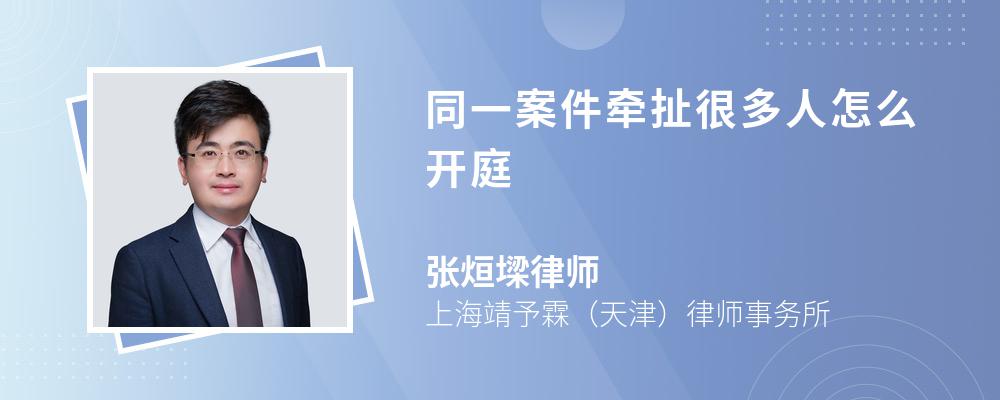 同一案件牵扯很多人怎么开庭