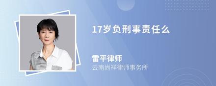 17岁负刑事责任么