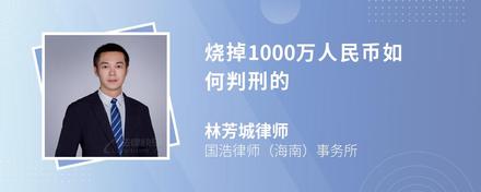 烧掉1000万人民币如何判刑的