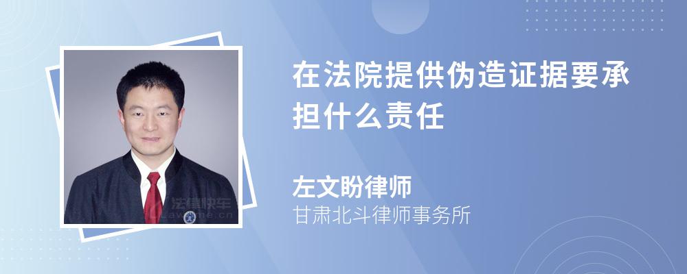 在法院提供伪造证据要承担什么责任