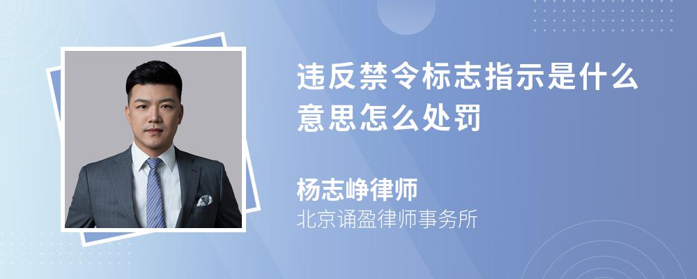 违反禁令标志指示是什么意思怎么处罚