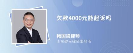 欠款4000元能起诉吗