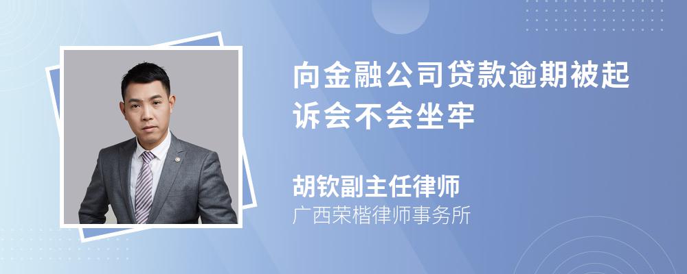 向金融公司贷款逾期被起诉会不会坐牢