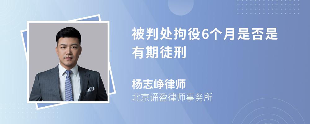 被判处拘役6个月是否是有期徒刑