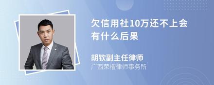 欠信用社10万还不上会有什么后果