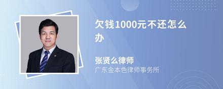 欠钱1000元不还怎么办