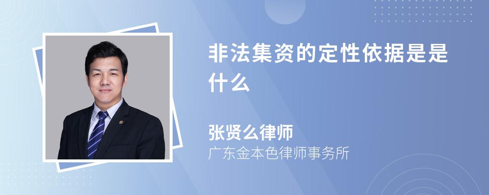 非法集资的定性依据是是什么