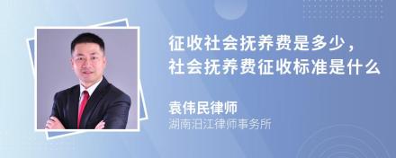 征收社会抚养费是多少，社会抚养费征收标准是什么