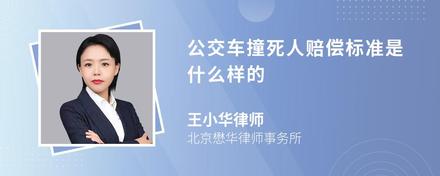 公交车撞死人赔偿标准是什么样的