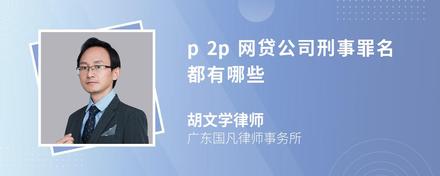 p2p网贷公司刑事罪名都有哪些