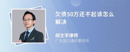 欠债50万还不起该怎么解决