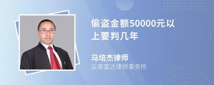 偷盗金额50000元以上要判几年